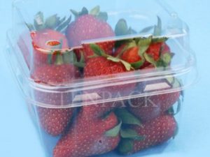 Hộp nhựa trái cây - Ly Tô Cốc Giấy Tenpack - Công Ty TNHH Sản Xuất Giấy Và Nhựa Tenpack